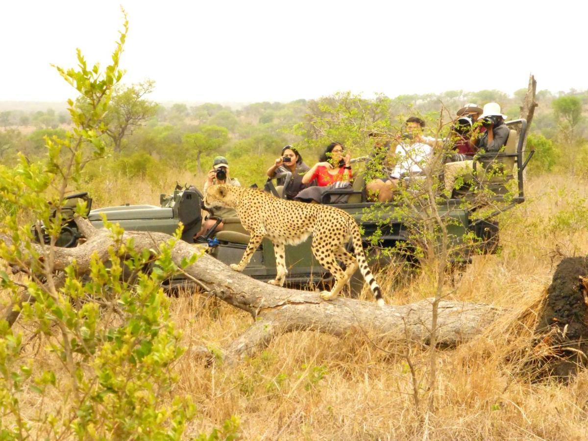 Umkumbe Safari Lodge Riverside Skukuza Exterior photo